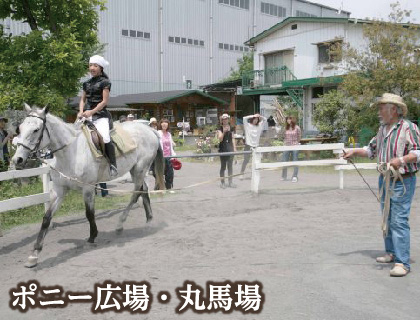 ポニー広場・丸馬場